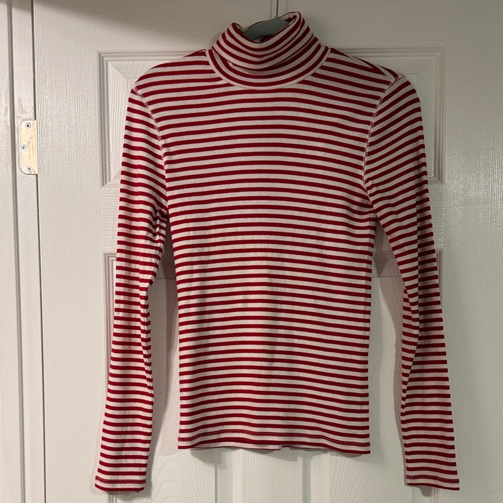 Everlane Pima Cotton Turtleneck NWT